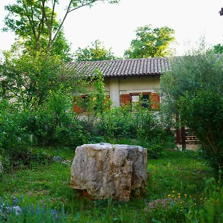 Paradiso Istriano - Mare * روفينج