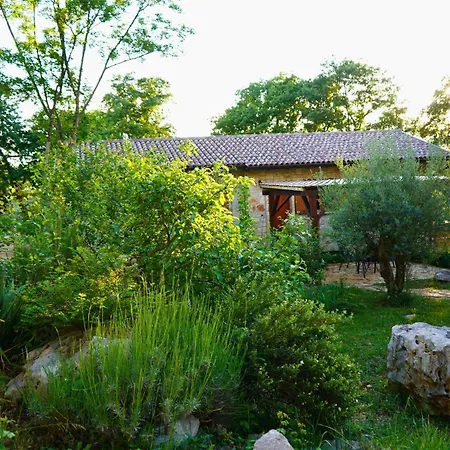 Paradiso Istriano - Mare * Rovigno