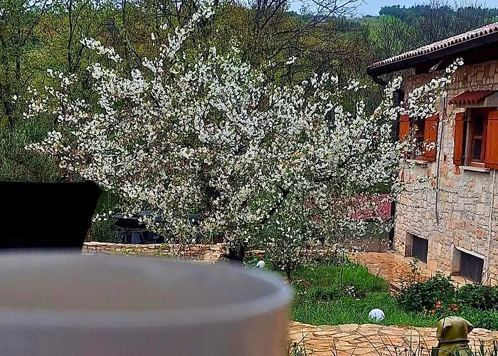 Paradiso Istriano - Mare *