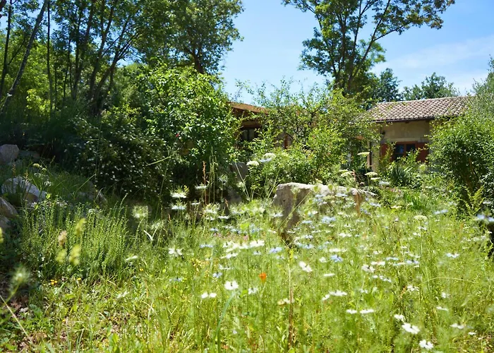 Paradiso Istriano - Mare Appartamento *