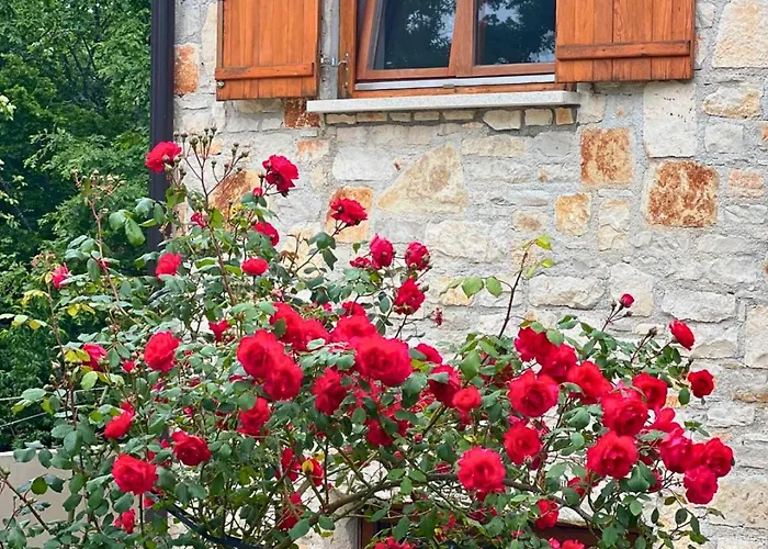 Paradiso Istriano - Mare *