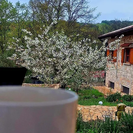 Paradiso Istriano - Mare *