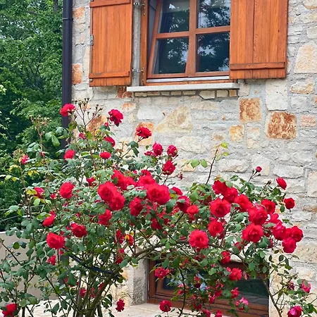 Paradiso Istriano - Mare *